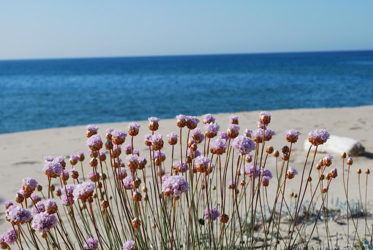 ואלדוריה Apartment Tramonto Sea-Front מראה חיצוני תמונה